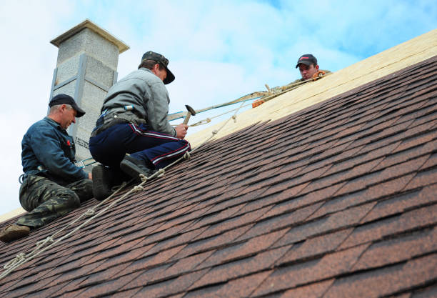 Best Gutter Installation and Roofing  in Leadville North, CO