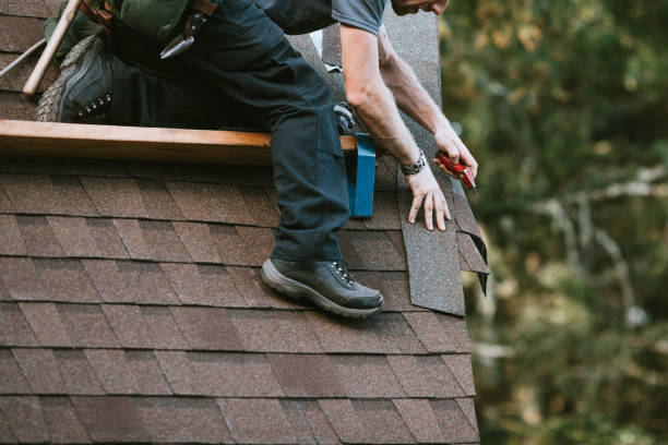 Professional Roofing Contractor in Leadville North, CO