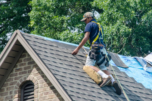 Quick and Trustworthy Emergency Roof Repair Services in Leadville North, CO