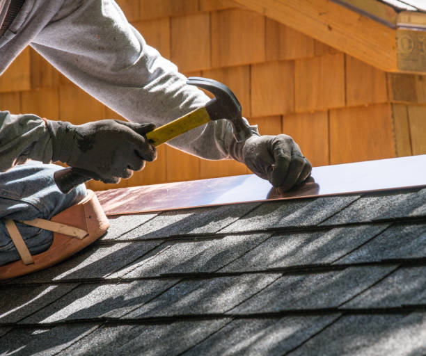 Best Roof Gutter Cleaning  in Leadville North, CO
